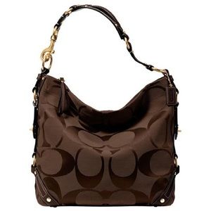 Coach Signature Carly Hobo Bag